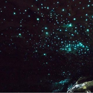 Glowworm caves