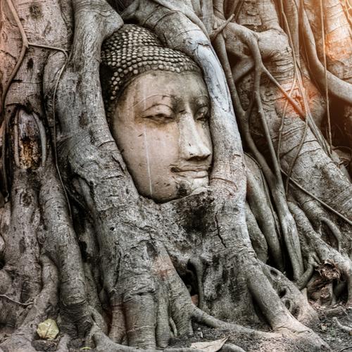 Ayutthaya, Wat Mahathat