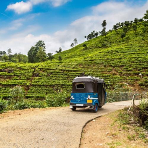 Tuk Tuk Nuwara Eliya