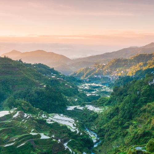 Banaue Rijstvelden