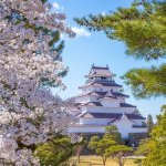 Tsuruga Castle