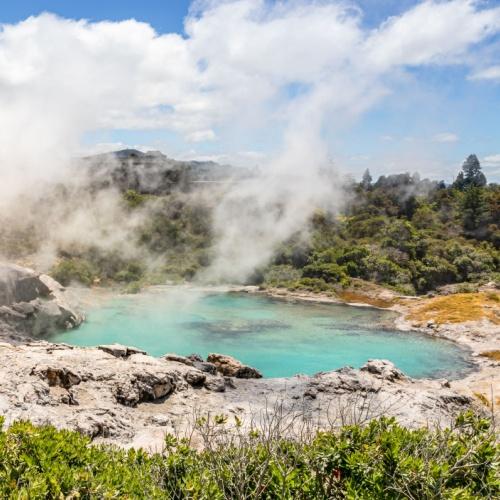 Geyser bij Rotorua