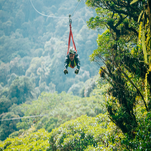 Ziplinen in het nevelwoud van Monteverde