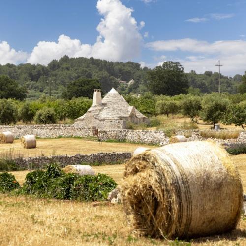 Oude Trulli in de vallei van Itria