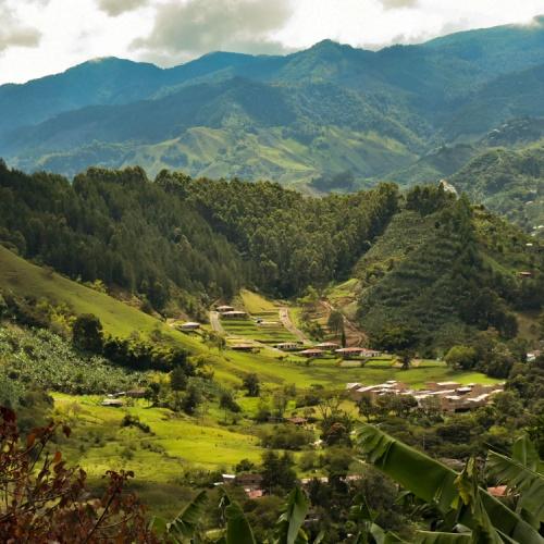 Koffieregio Colombia 