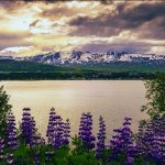 Eyjafjordur fjord, IJsland