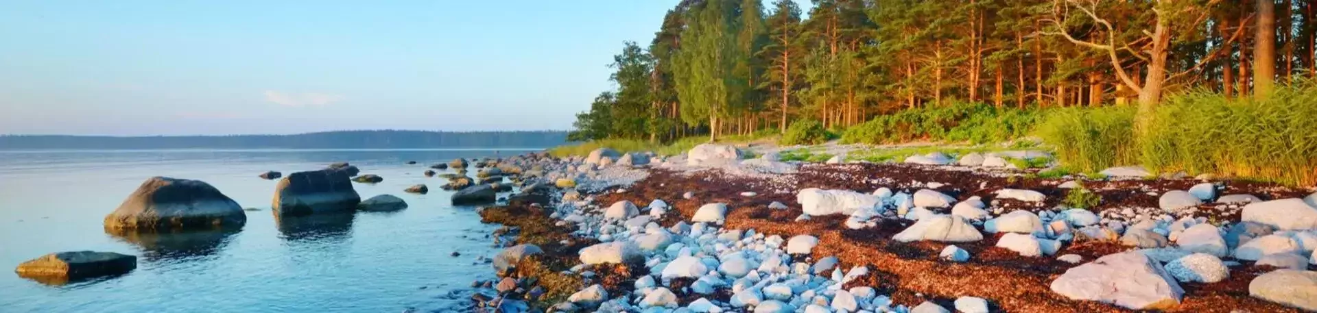 Kustlijn van schiereiland K&auml;smu in Lahemaa Nationaal Park, Estland